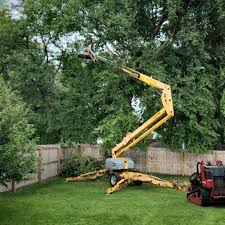 Reliable Wapato, WA Tree Care Solutions